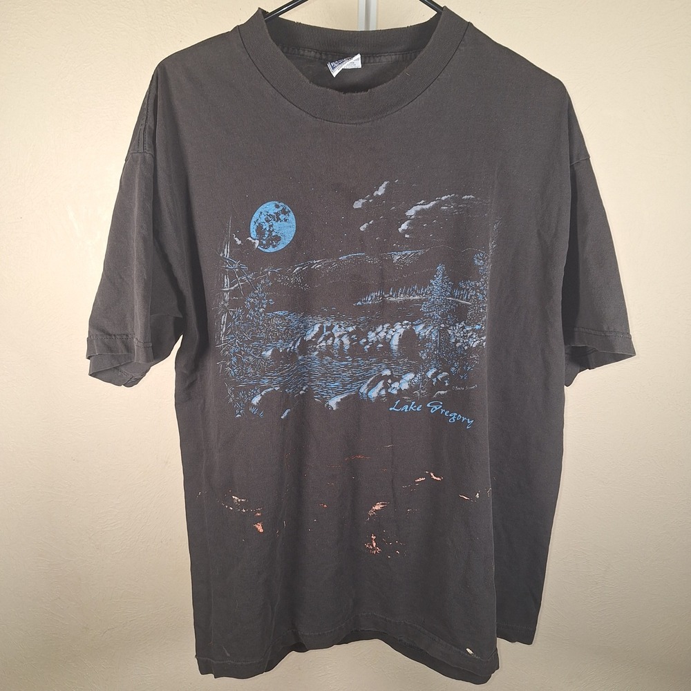 Basicss Vintage Oregon Lake Nature T Shirt Faded Thrashed 90s Mens XL USA